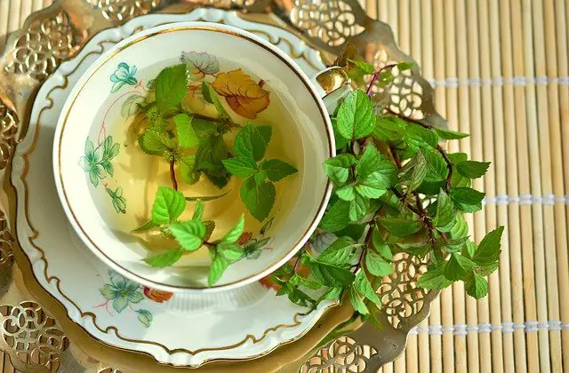 a cup of mint tea with mint leaves