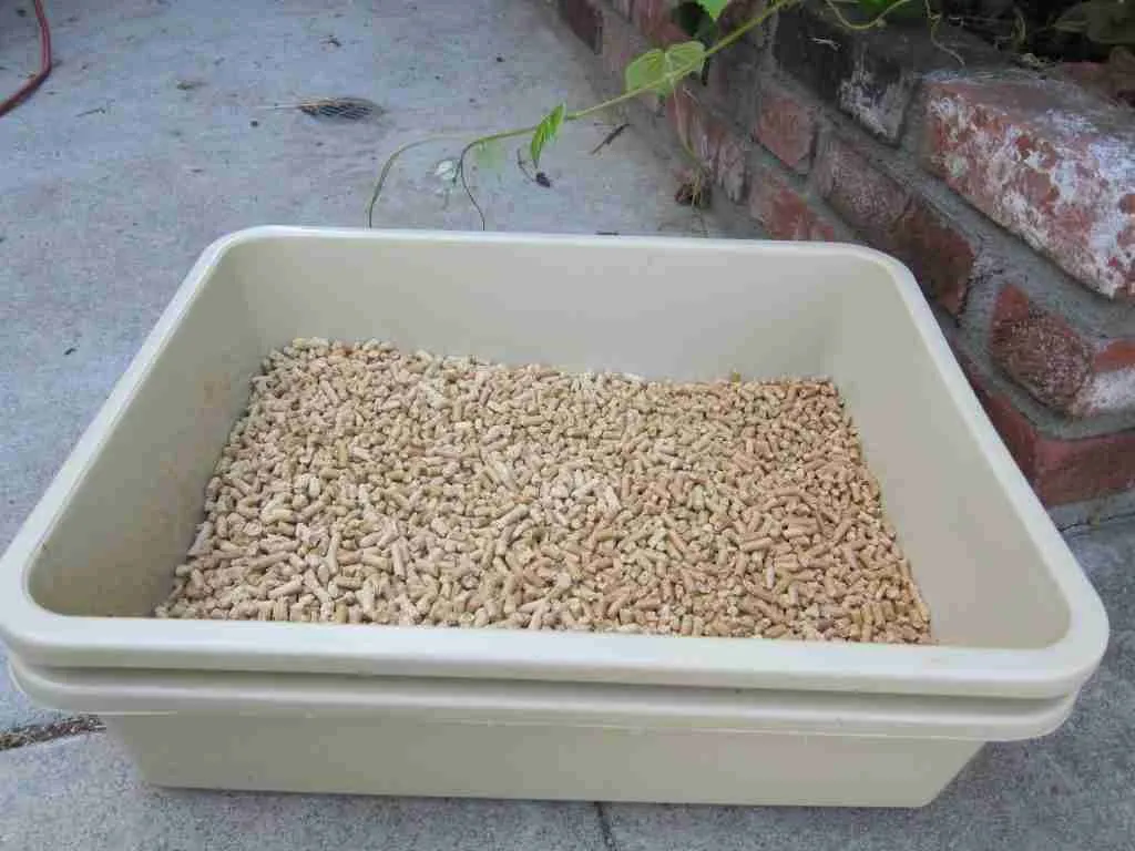 A picture showing a litter tray with litter in it for making a litter box for guinea pigs